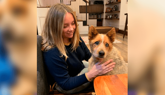 Facebook viral: perro fue abandonado por su sobrepeso, una mujer lo adopta y luego de meses luce así