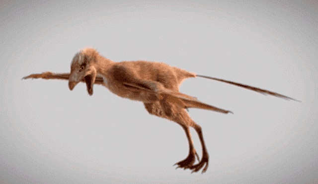 YouTube viral: Extraña criatura parecido a un dinosaurio sorprende en redes sociales [VIDEO]