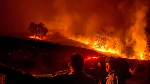 Incendio forestal en California. Foto: Difusión