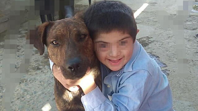 Denuncian envenenamiento de perrito guía de niño con síndrome de Down 