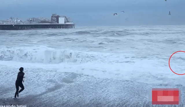 Facebook: mujer arriesga su vida para salvar a su mascota de violentas olas [VIDEO]