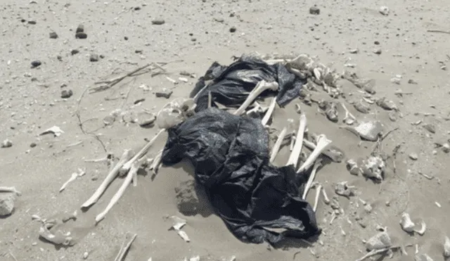 Argentina: hallan restos humanos de 3.000 años tirados en una playa [FOTOS]
