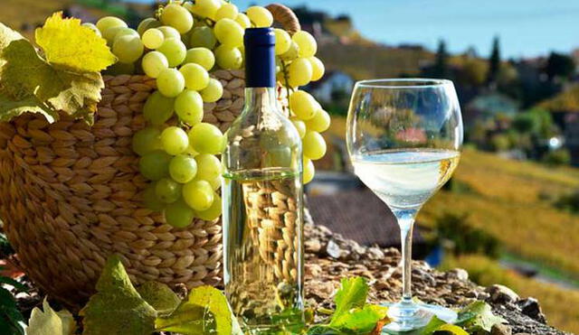 El pisco es la bebida destilada emblemática del Perú, obtenida por la fermentación y destilación del mosto de uvas pisqueras. (Foto: Referencial)