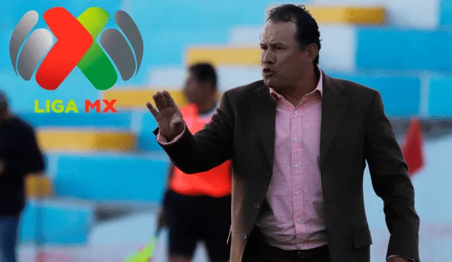 Puebla oficializó la contratación de Juan Reynoso como su nuevo director técnico. | Foto: GLR