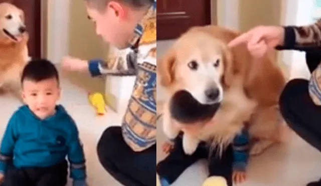 Facebook viral: tierno perro protege a su pequeño dueño ante el ataque de su padre [VIDEO]