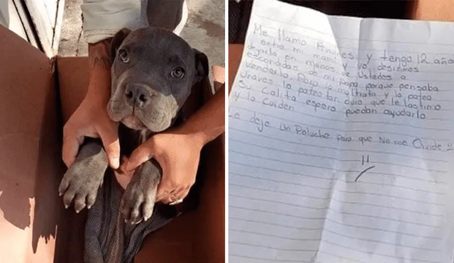 Niño escribe conmovedora carta tras dar a su perrito en adopción para evitar que su padre lo maltrate [FOTOS]