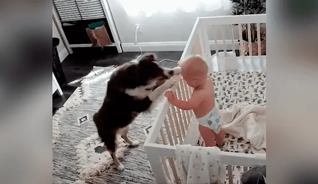 Perro y bebé son captados en tierna situación mientras todos duermen [VIDEO] 