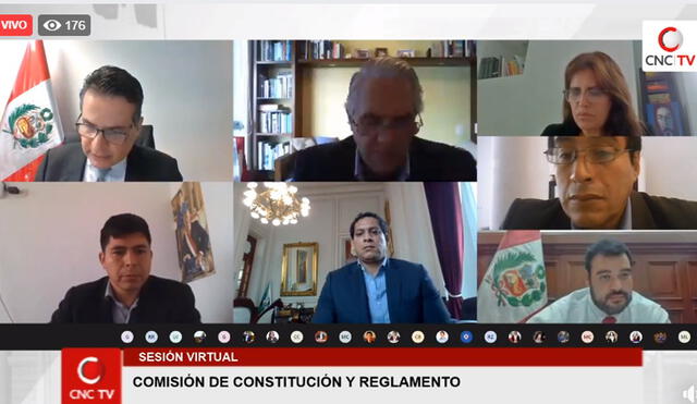 Sesión virtual de la Comisión de Constitución.