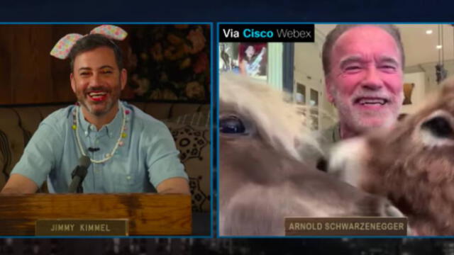El presentador no pudo evitar reírse al ver a los animales. (Foto: Captura)