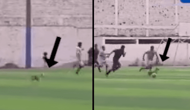 Perro en la Copa Perú: Se sumó al contraataque, jaló marca y dio un pase de gol [VIDEO]