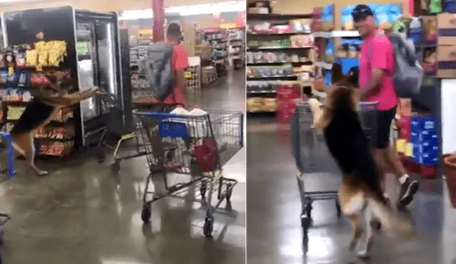 Twitter: Perro que lleva el carro de compras en supermercado es viral [VIDEO]
