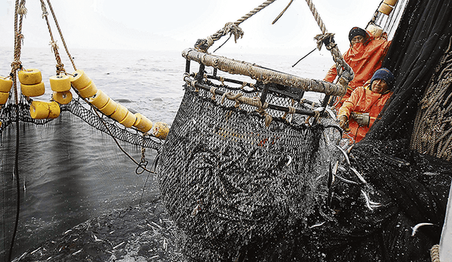 Estado exige S/ 66 mllns de reparación al “Rey de la pesca negra” y tribunal lo rebaja a solo S/ 100 mil