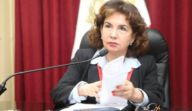 Elvia Barrios, demanda constitucional