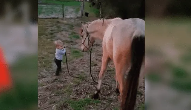 Video viral de YouTube muestra el singular momento en que un bebé guía a un enorme caballo sin temor alguno