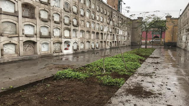 Recuperarán áreas verdes del Museo Cementerio Presbítero Maestro [FOTOS]
