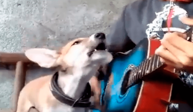 Facebook viral: niño prepara tierna serenata con su perro y conmueven a usuarios [VIDEO]