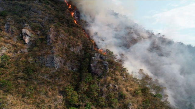 Incendio arrasó con más de 15 hectáreas en bosque de cerro de Moyobamba.