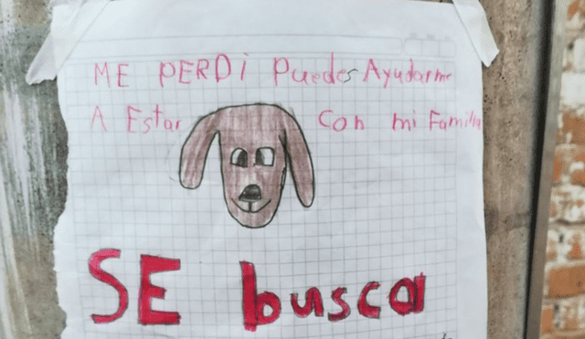 Facebook: niño pidió ayuda con tierno cartel para hallar a su mascota [VIDEO]