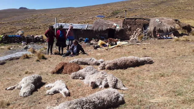 Dramática foto y el pedido de ayuda llegó a nuestra redacción.