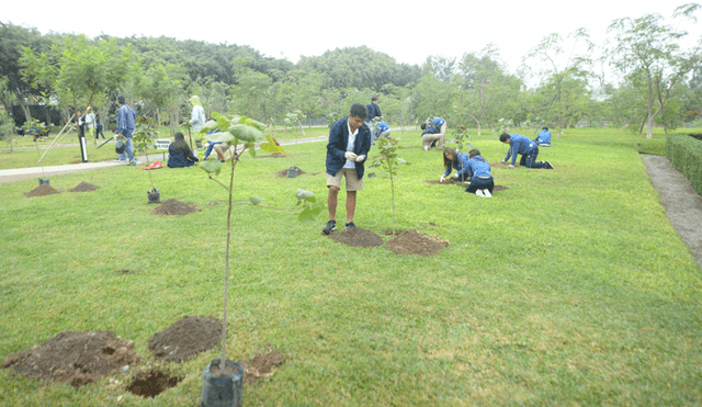 Surco: 50 árboles serán sembrados en el Parque el Aire