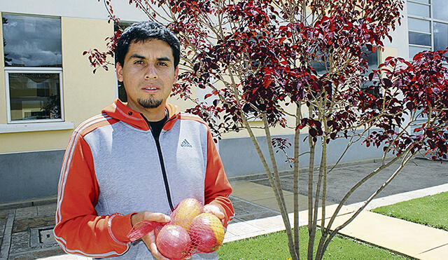Cajamarca: Mango orgánico de San Miguel conquista mercados de Italia
