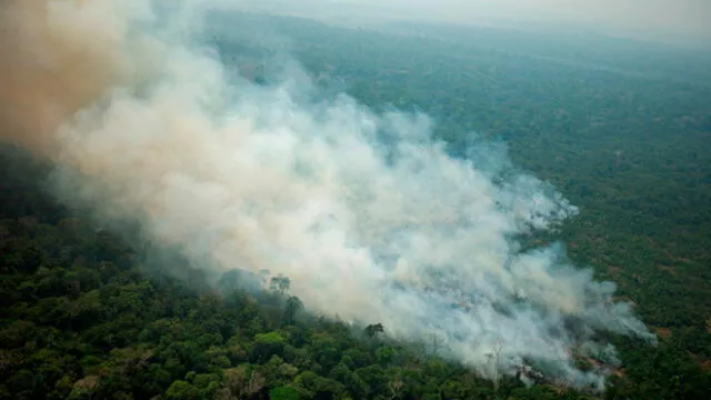 Lluvia Amazonas últimas noticias incendio forestal en Amazonía: llueve gris y clima en selva amazónica de Brasil sufre consecuencias