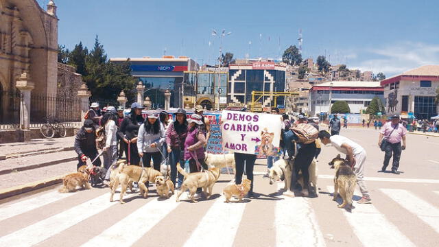 Marchan contra candidatos que usan animales muertos 