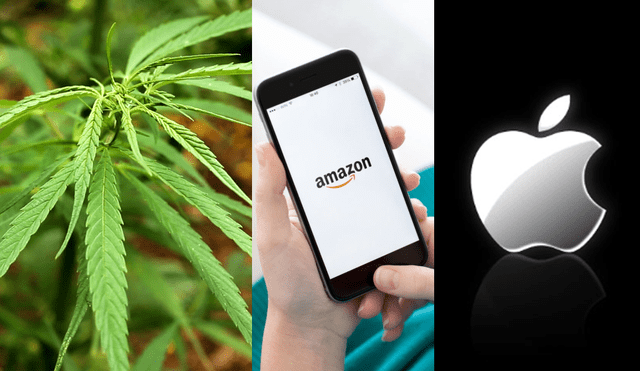 Apple y Amazon fueron superadas por empresas de cannabis en Wall Street 