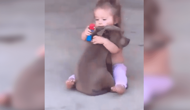 Desliza las imágenes hacia la izquierda para apreciar la sentimental escena entre una niña junto a su perro.