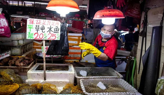 Aunque la mayoría de los animales están prohibidos desde finales de febrero de 2020, en el mercado de agricultores de Xihua las tortugas y las ranas se venden abiertamente. Foto: EFE