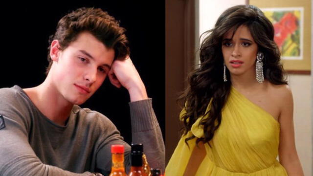 ¿Shawn Mendes y Camila Cabello terminaron su relación?