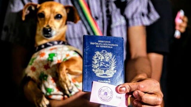 Pasaporte venezolano. Foto: DW.
