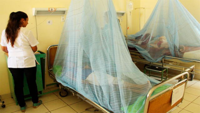 Mujer de 49 años murió cuatro días después de ser hospitalizada por padecer dengue. (Foto referencial)