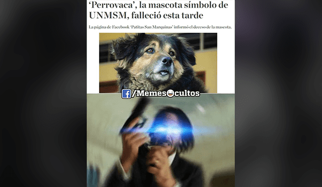 Facebook viral: alumnos de la UNMSM despiden a su 'Perrovaca' con sentimentales memes [FOTOS] 