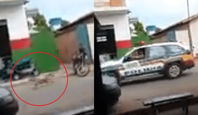 Facebook viral: 'perro ladrón' es perseguido por policías y por esta insólita razón [VIDEO]