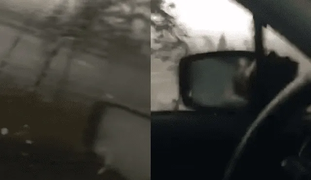 YouTube viral: mujer queda atrapada en tornado y ocurre un trágico final [VIDEO]