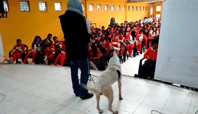 Facebook: perro sorprende al subir a escenario para 'cantar' junto a joven saxofonista [VIDEO]
