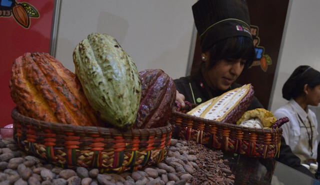 Conforman grupo de trabajo para el desarrollo de la cadena de valor del cacao y chocolate