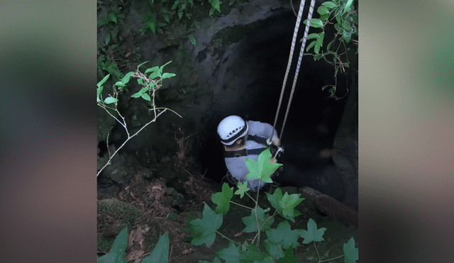 Una perrita fue encontrada atrapada en un cueva y un grupo de rescatistas le salvó la vida. Foto: Facebook.