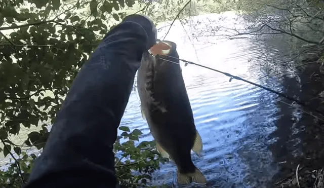 Pescador emerge su mano dentro de un misterioso río de Brasil.