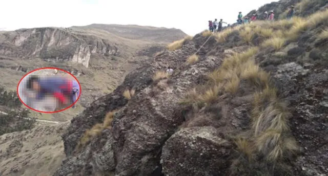 En Cusco dos menores mueren por picaduras de abejas al irrumpir en su panal [VIDEO]