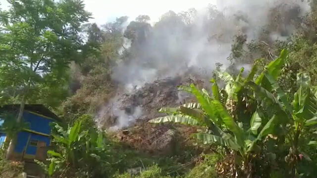 Puno: Incendio forestal en San Gabán no se extingue [VIDEO]