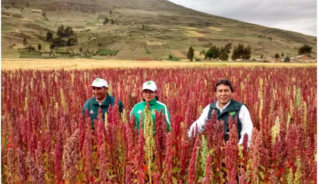 Huancavelica: mil pobladores de zonas rurales recibieron títulos de propiedad 
