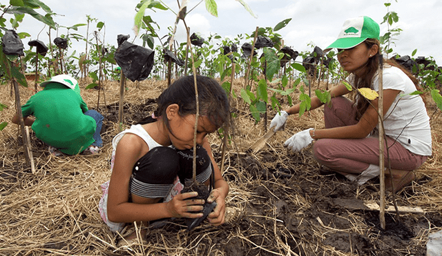 Niños y jóvenes de Filipinas plantarán 10 árboles antes de graduarse