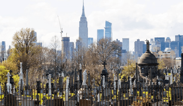 Nueva York: escuelas públicas