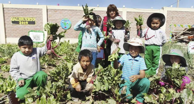 Niños de La Joya cosechan frutas y verduras para sus desayunos escolares.