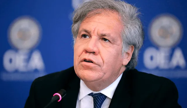Secretario de la OEA aplicará la Carta Democrática a Nicaragua