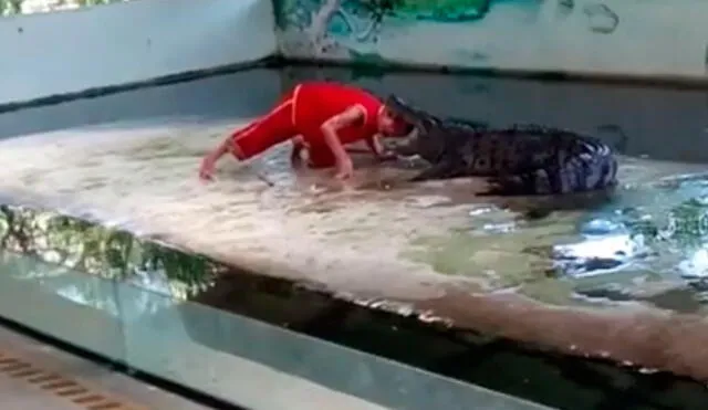 Youtube: Hombre metió la cabeza en la boca de un cocodrilo, pero ocurrió lo que no debía pasar [VIDEO]