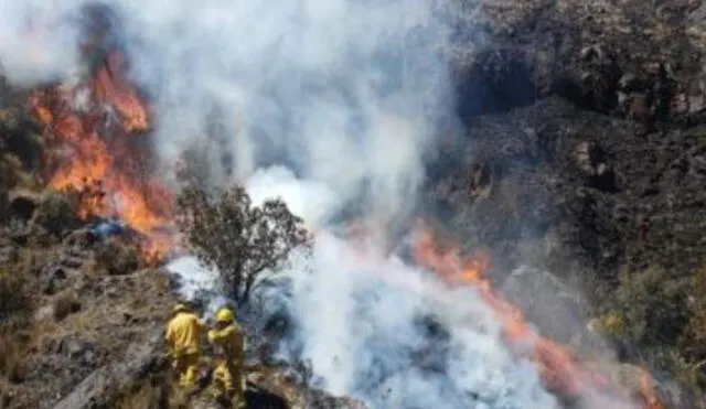 Controlan incendios forestales en Áncash. Foto: Andina.
