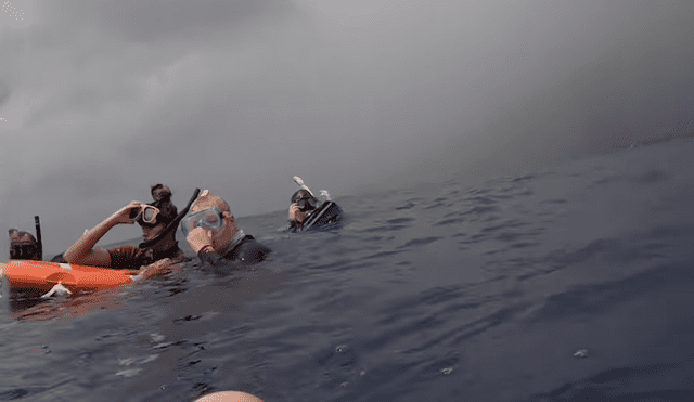 Un video viral de Facebook muestra el momento en que un grupo de turistas nadan al lado de gigantescas ballenas jorobadas en Estados Unidos.